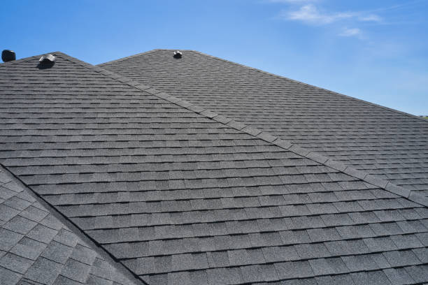 Best Roof Moss and Algae Removal  in Nolanville, TX